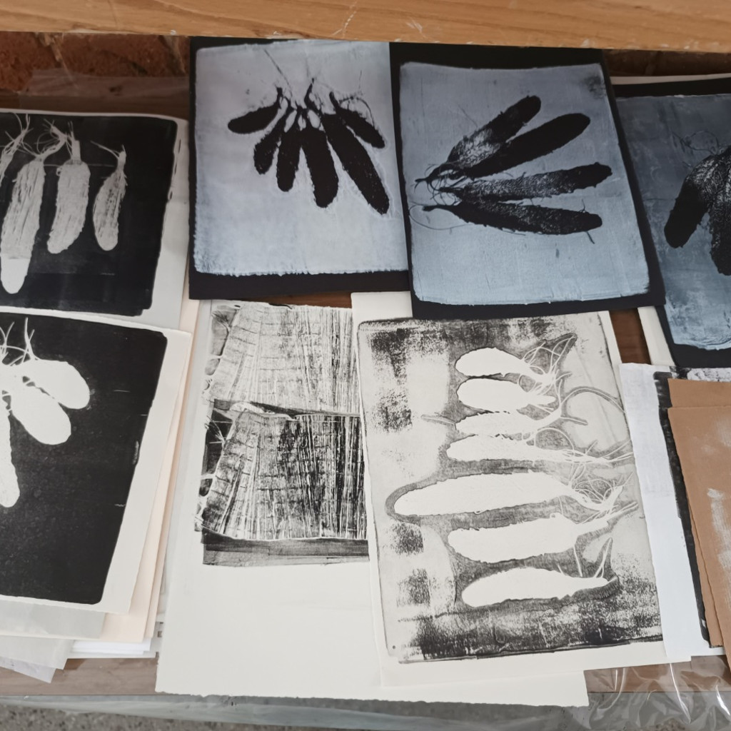 Drawing with monoprinting, with Carole Bury