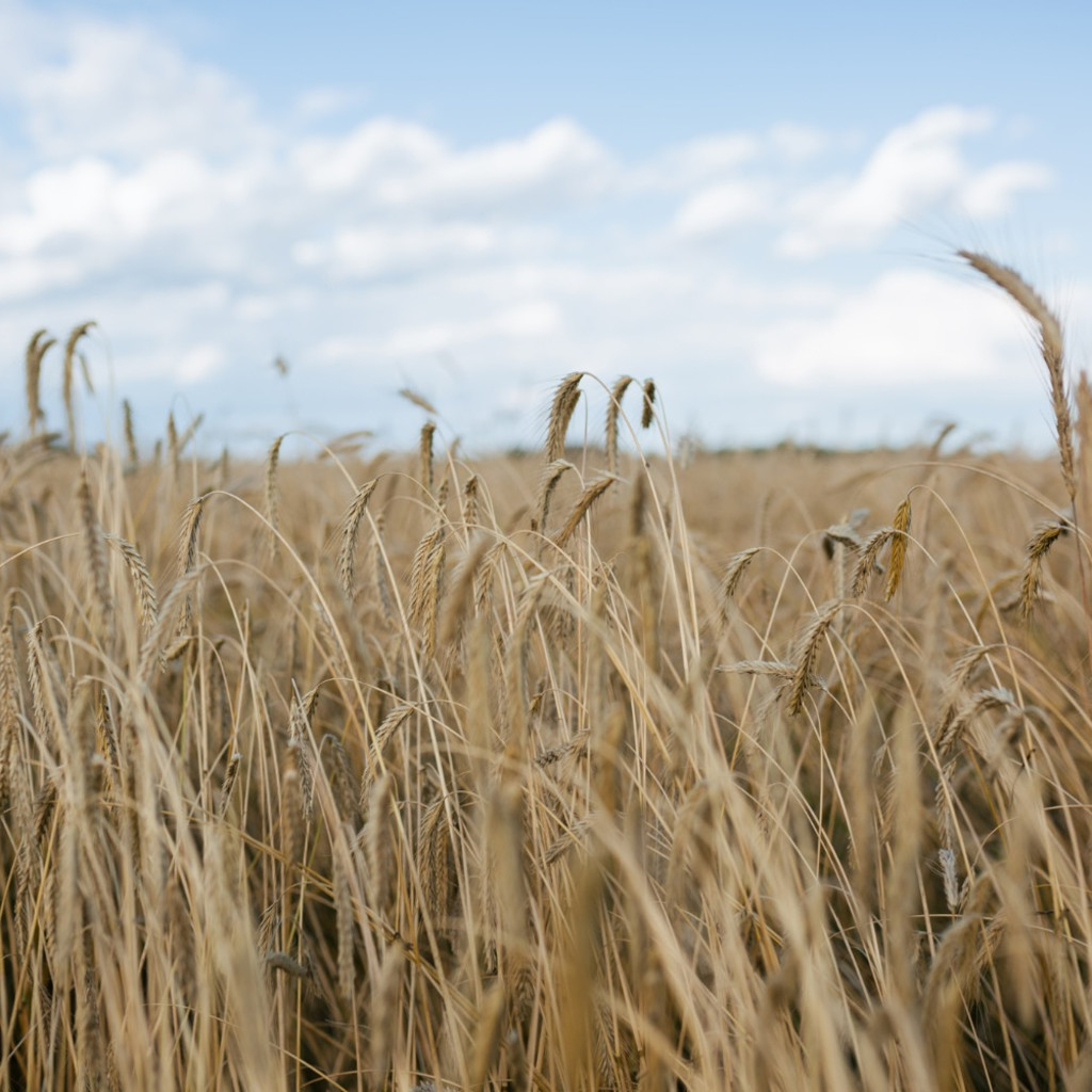 Compost Extractor Field Day: Biological Inputs for Dryland Crops
