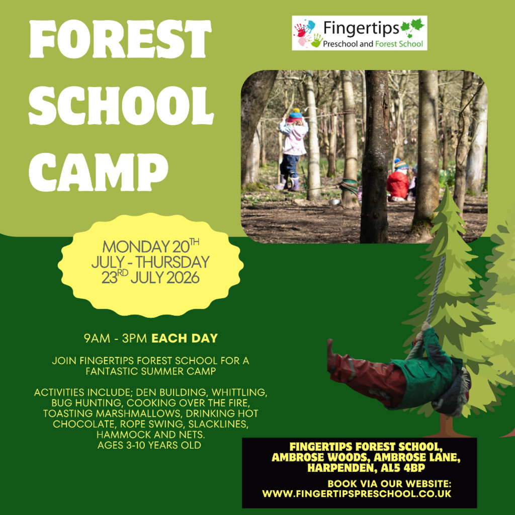 Fingertips Forest School Summer Camp