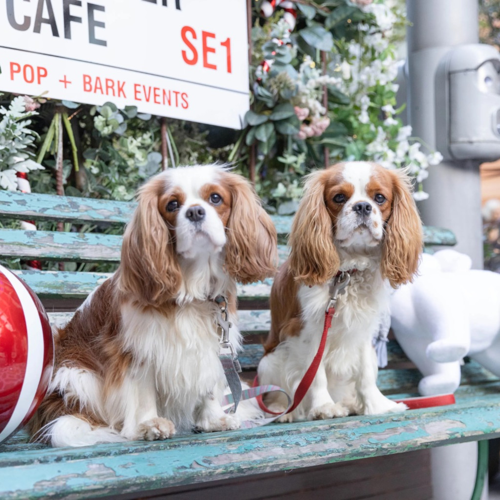 Cavalier Cafe Christmas - Nottingham