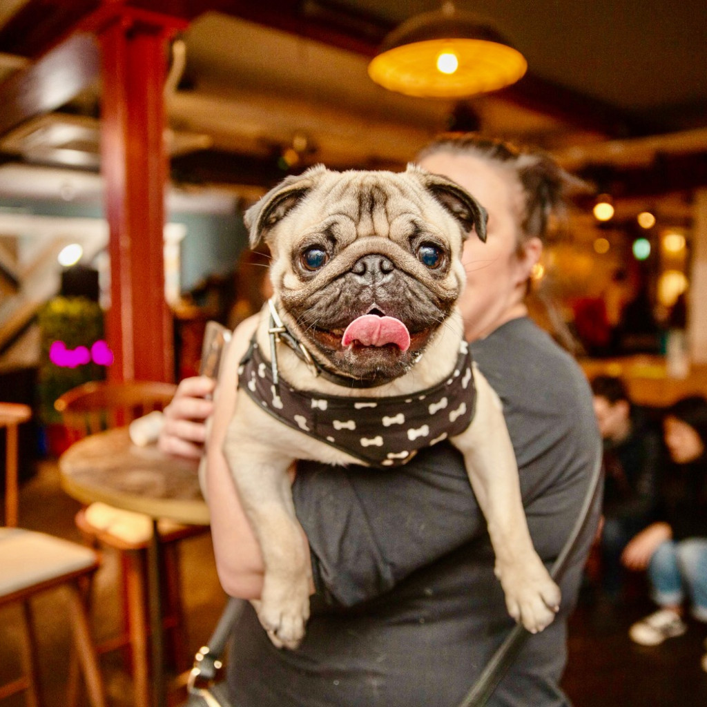 BUY TICKETS NOW – PUG CAFE™ NEWCASTLE – Revolucion de Cuba