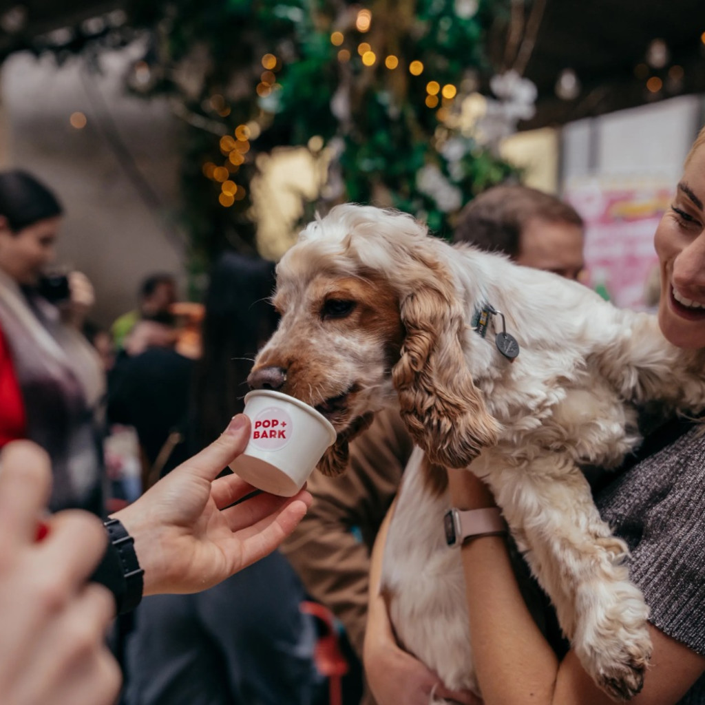 BUY TICKETS NOW – Cocker Spaniel Cafe - Sheffield – Revolution Sheffield