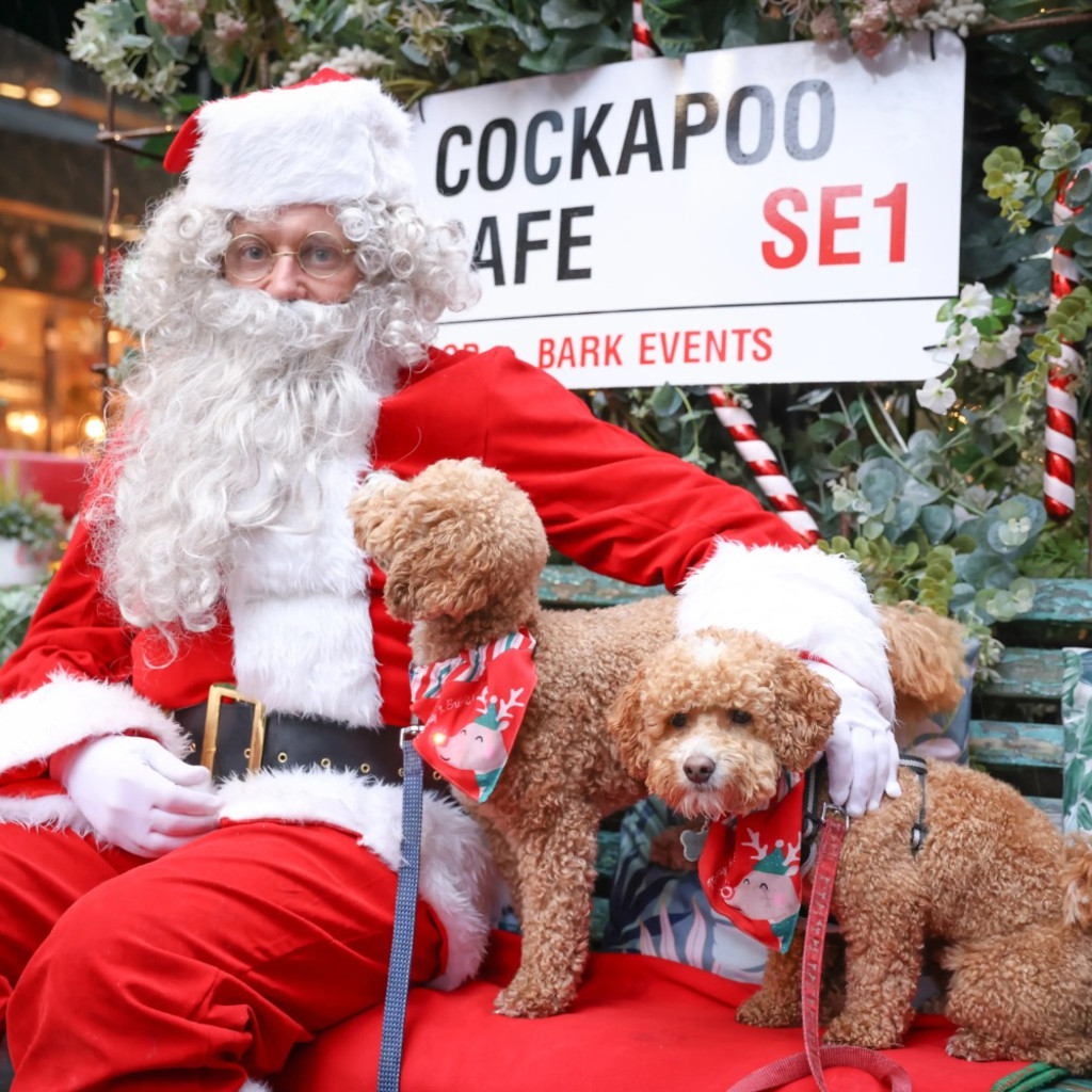 Cockapoo Cafe Christmas - Durham