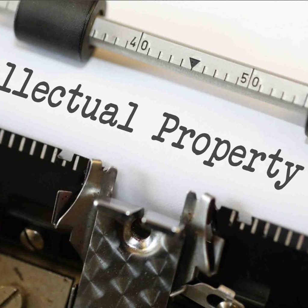 Protecting IP Rights and Reputation