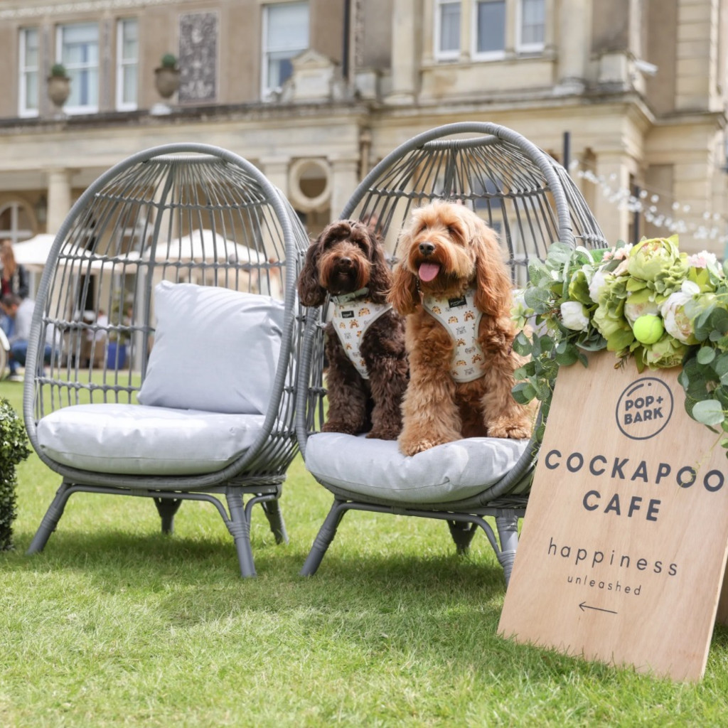 Cockapoo Cafe at Down Hall Essex