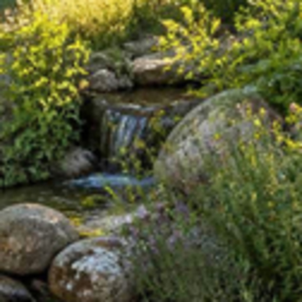 Creating Drought-Tolerant Microhabitats