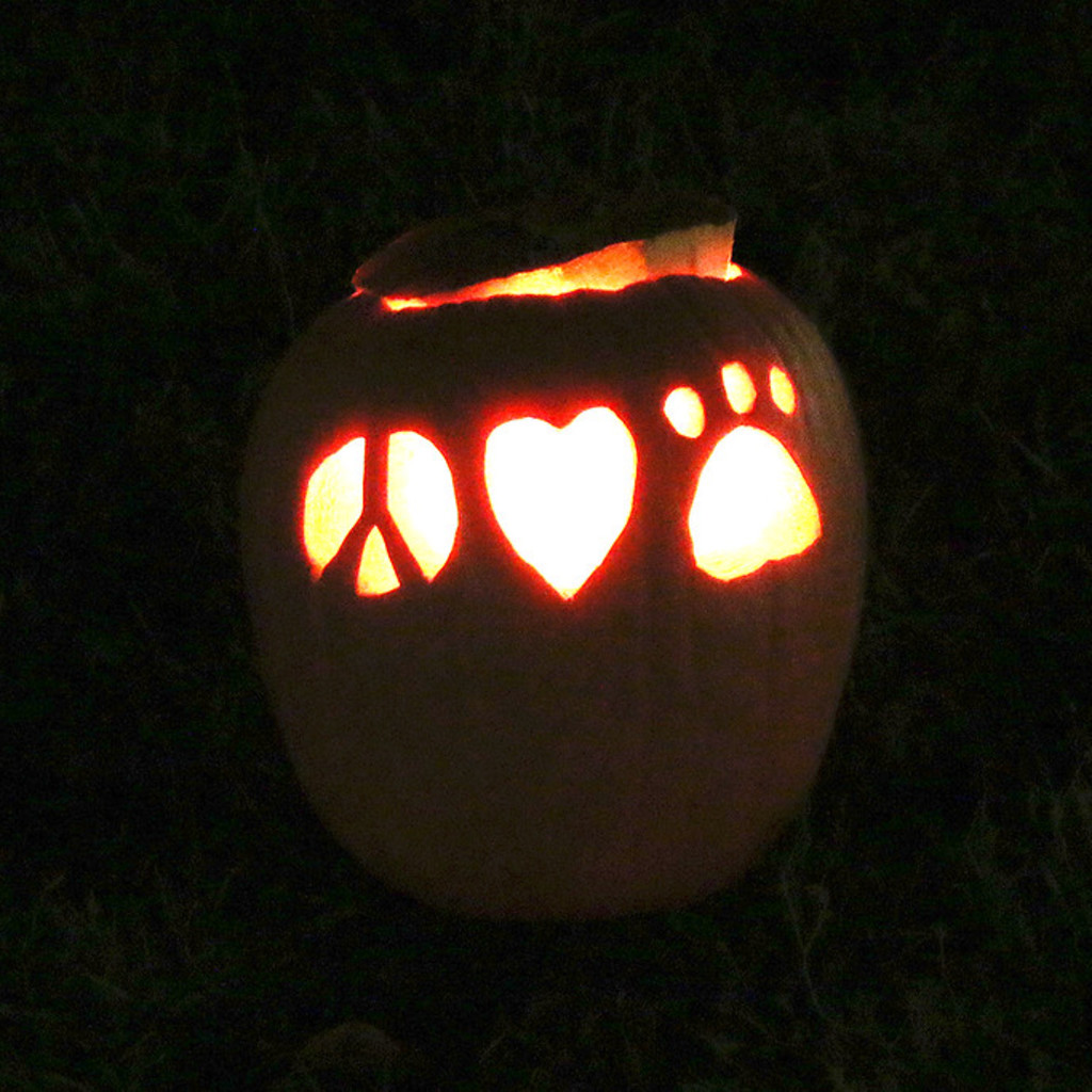 Little Paws Toddler Time--Special Halloween Program!