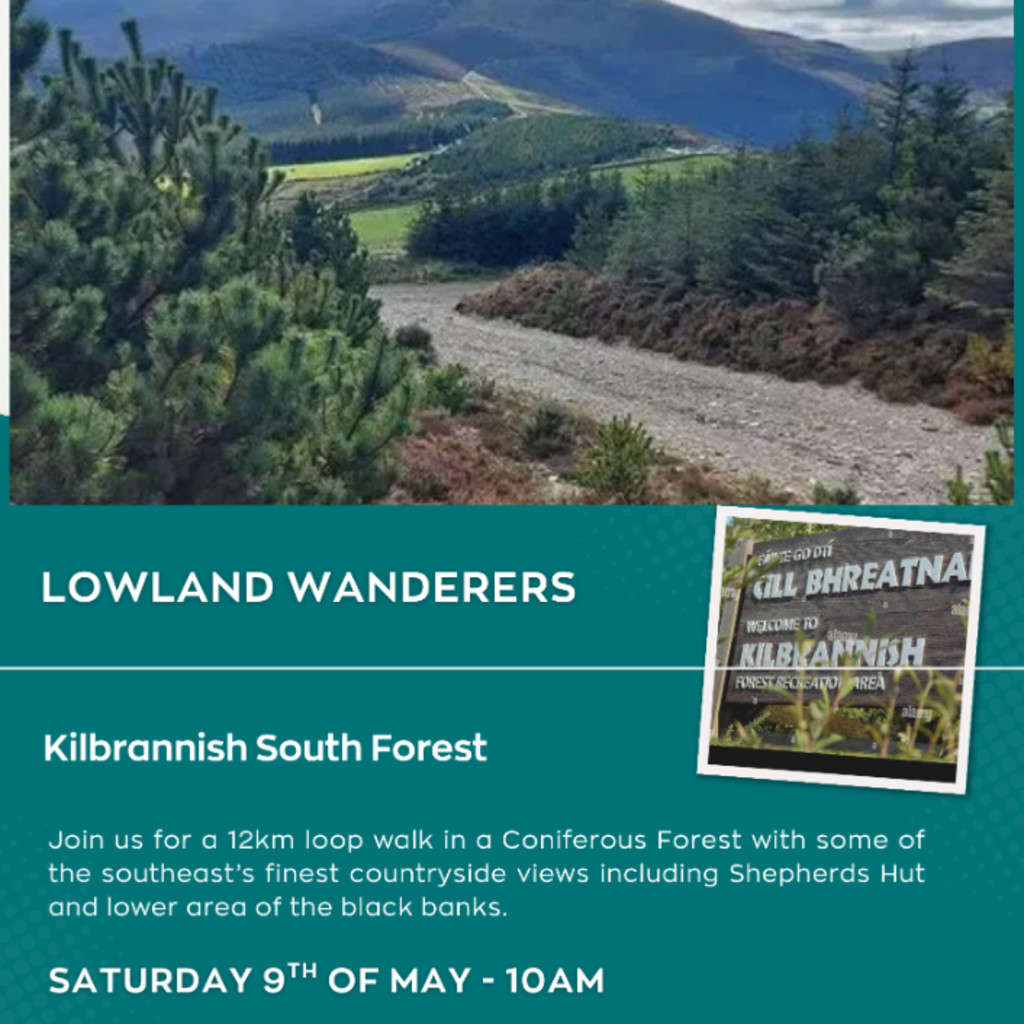 Lowland Wanderers: Kilbrannish South Forest