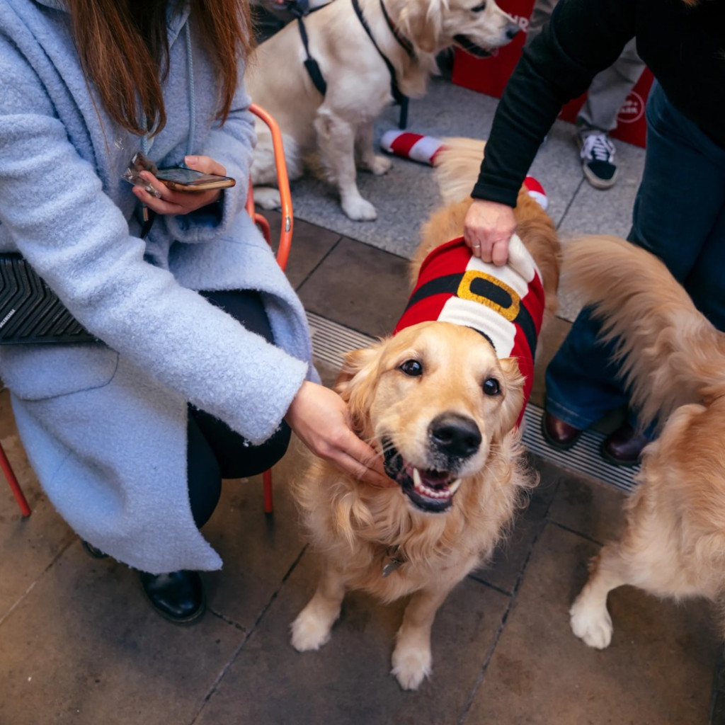 Golden Retriever Cafe - Oxford