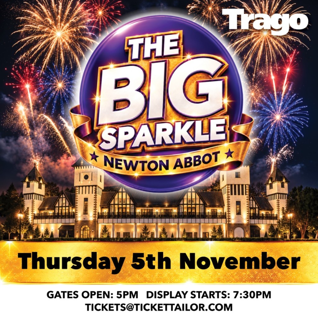 The Newton Sparkle - Trago Newton Abbot Fireworks Display