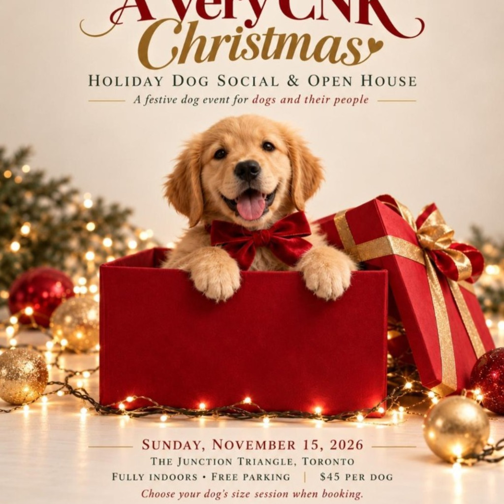 A Very CNK Christmas: Holiday Dog Social & Open House
