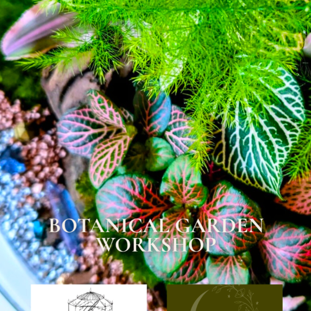 Booking Fee – Botanical Garden | Creative Botanical Workshop – Moss ...