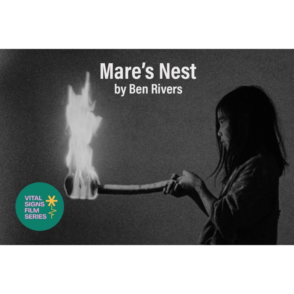 Mare's Nest by Ben Rivers