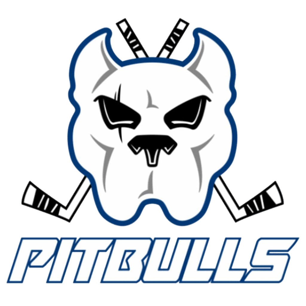 Guildford Flames v Bristol Pitbulls