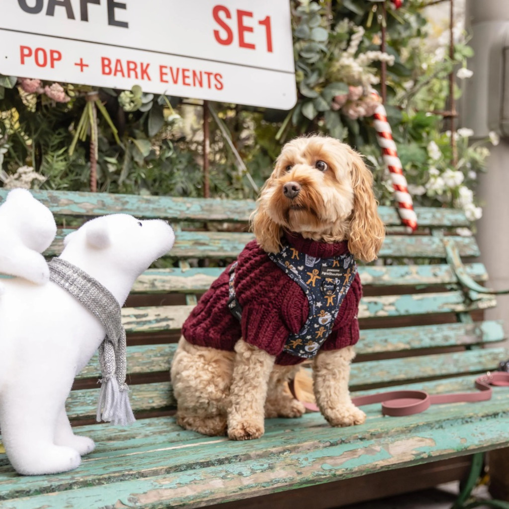 Cockapoo Cafe Christmas - Derby