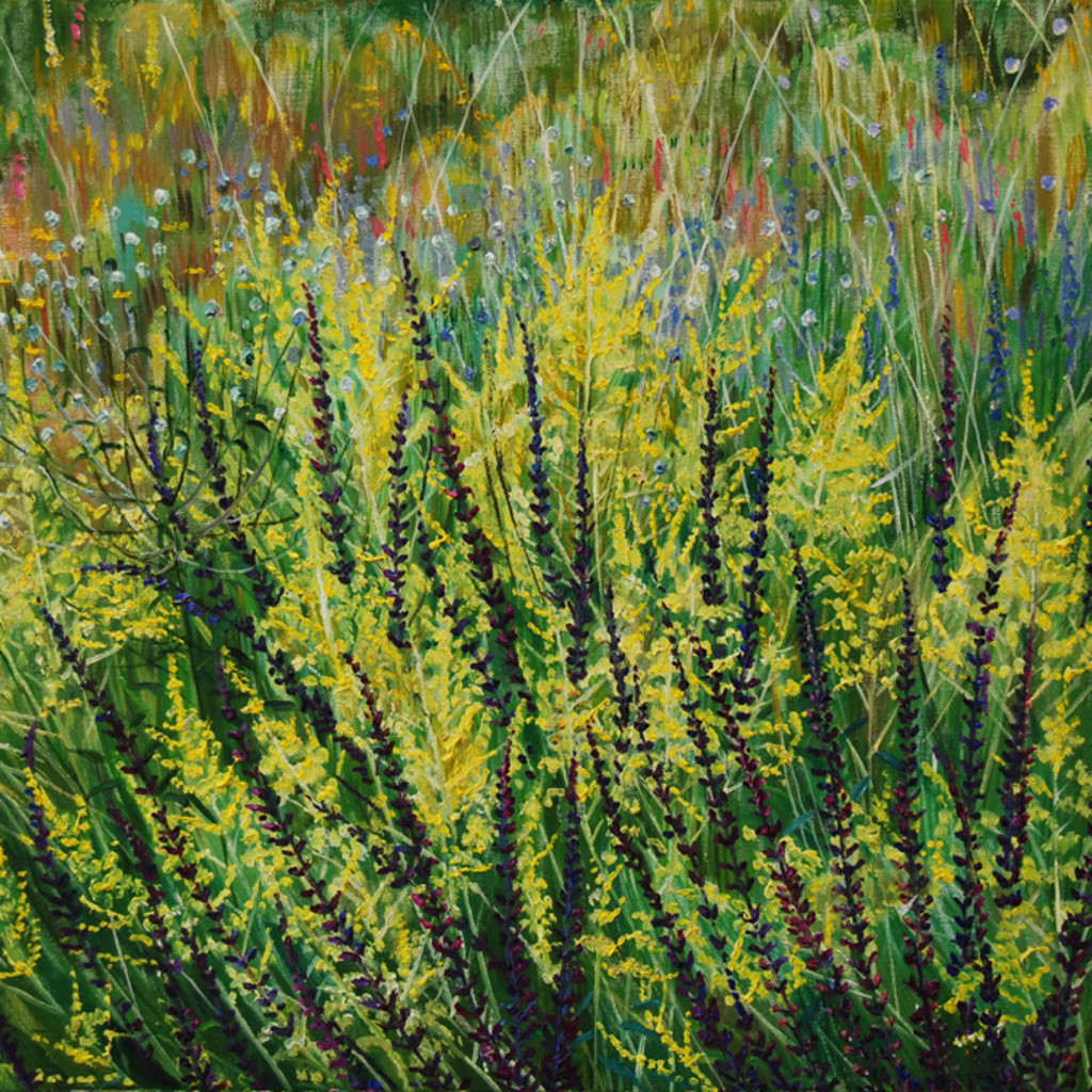 Garden escape with Ros Wise