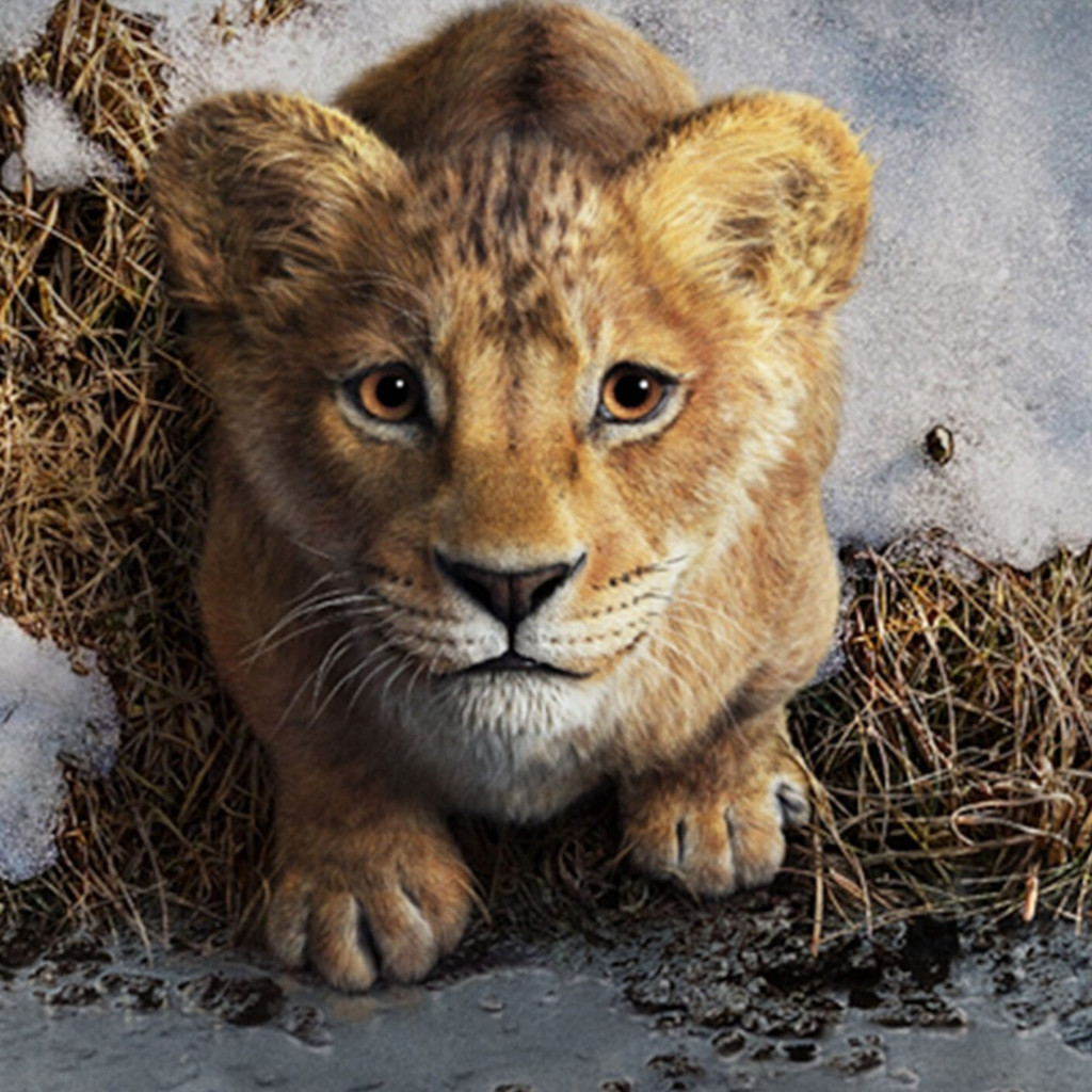 Mufasa @ Anfiteatro - Monchique