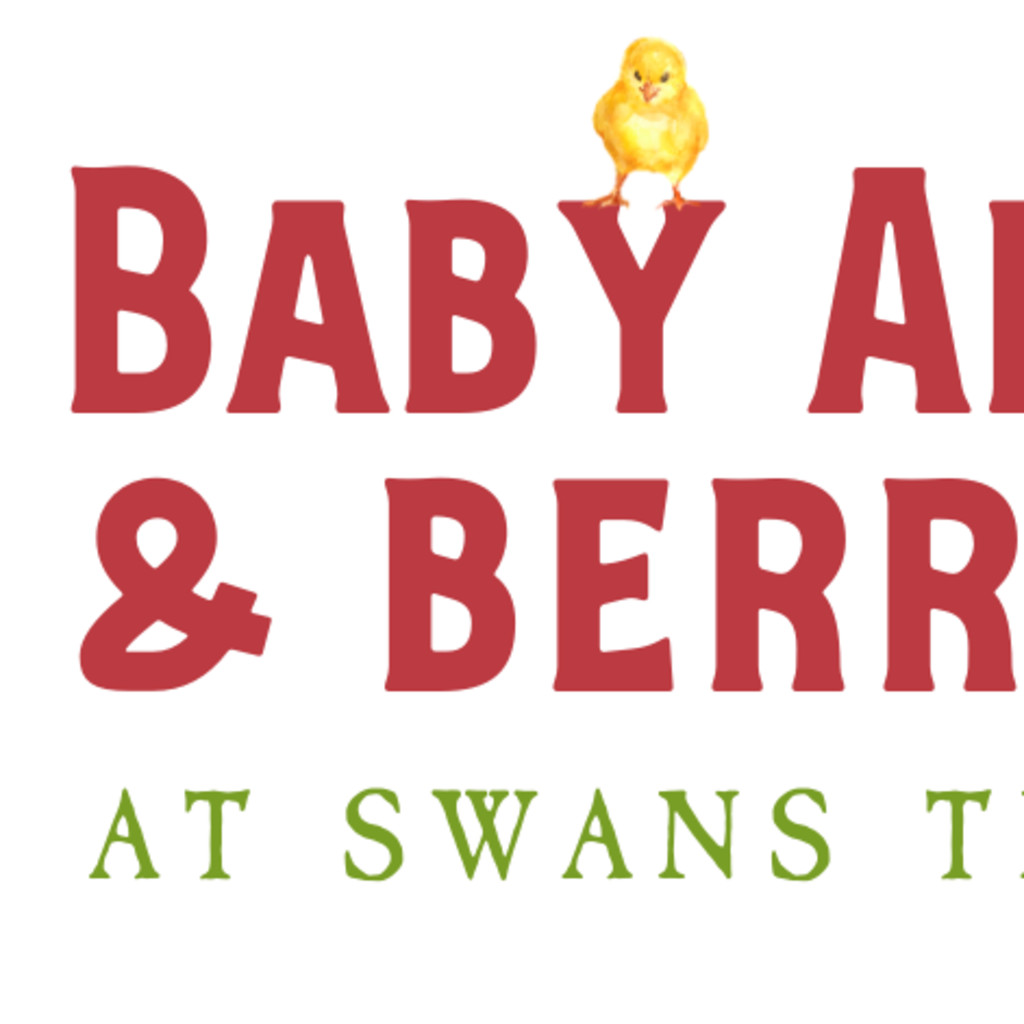 2024 Baby Animals & Berries Festival