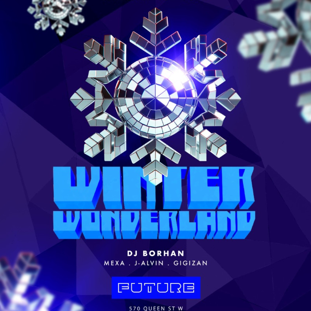Winter Wonderland 2025 ❄️