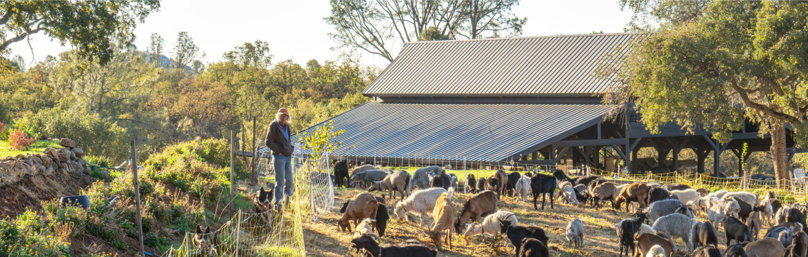 Happy Goat Farm