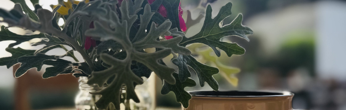 Yoga Retreat Crete