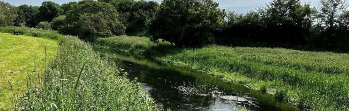 Guided Twilight Nature walks
