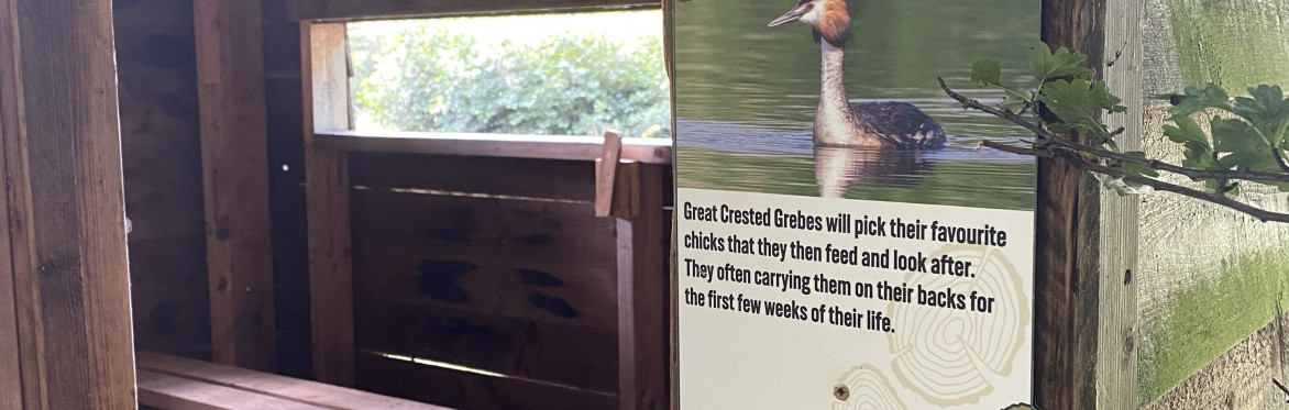 Guided Twilight Nature walks