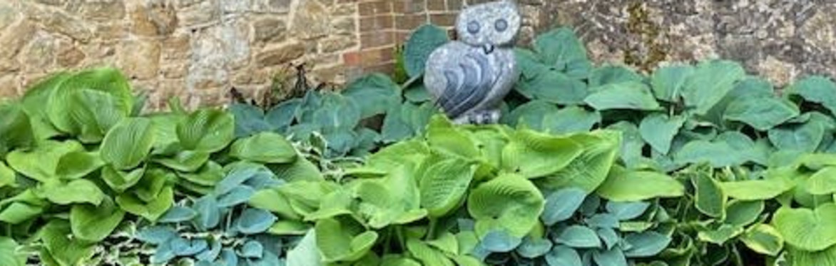 The Round House Open Garden