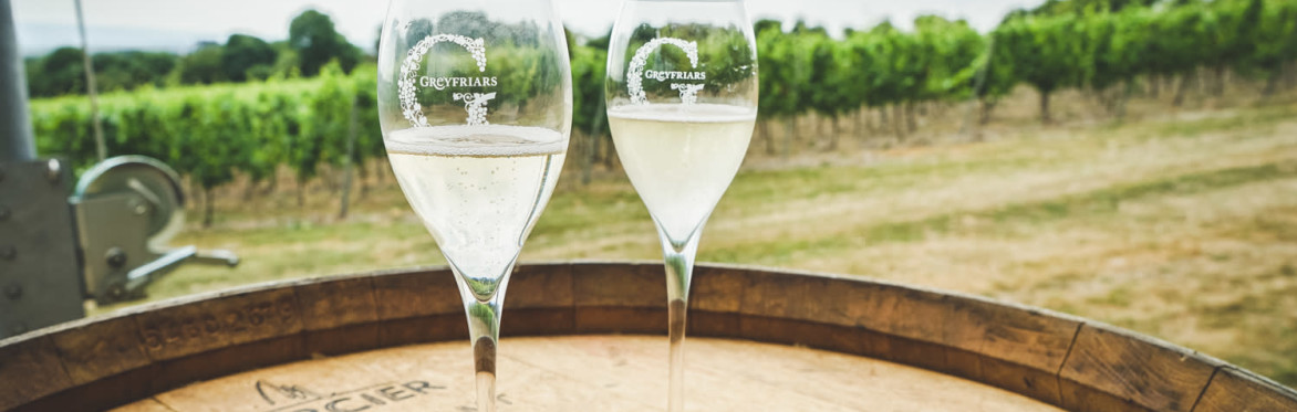 Autumn Wine Trail Walk
