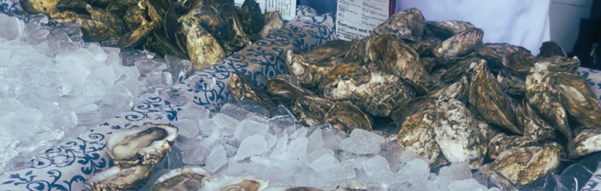 oysters on the avenue