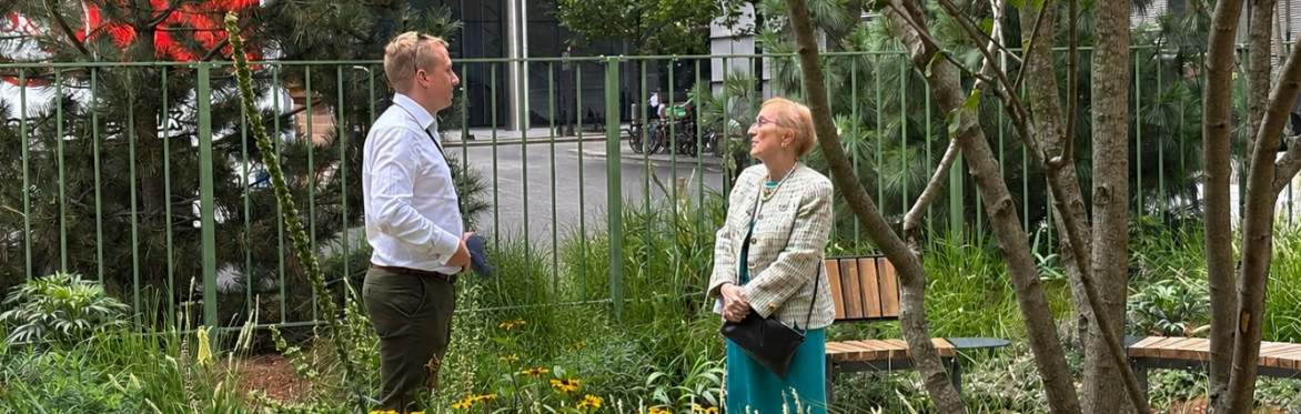 A walkaround the City's sustainable planting and drainage schemes