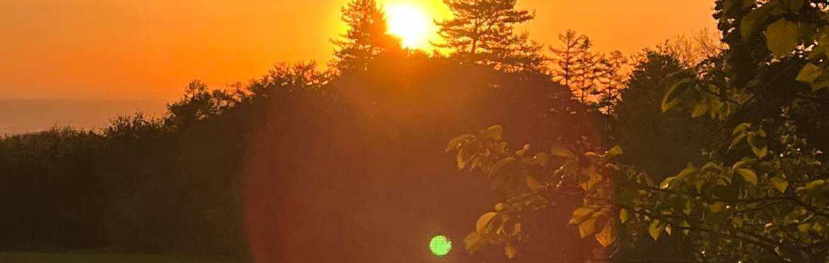 Summer Solstice Celebration