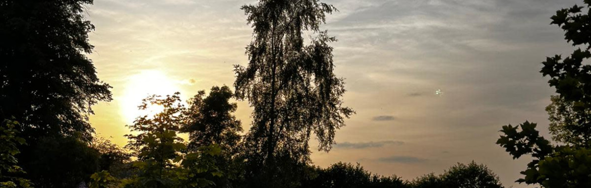 Summer Solstice Celebration