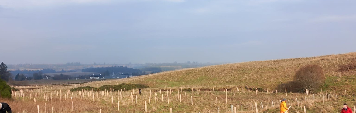 Working with nature to tackle flooding and drought in the Upper Forth