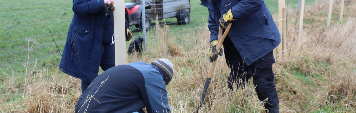 Working with nature to tackle flooding and drought in the Upper Forth