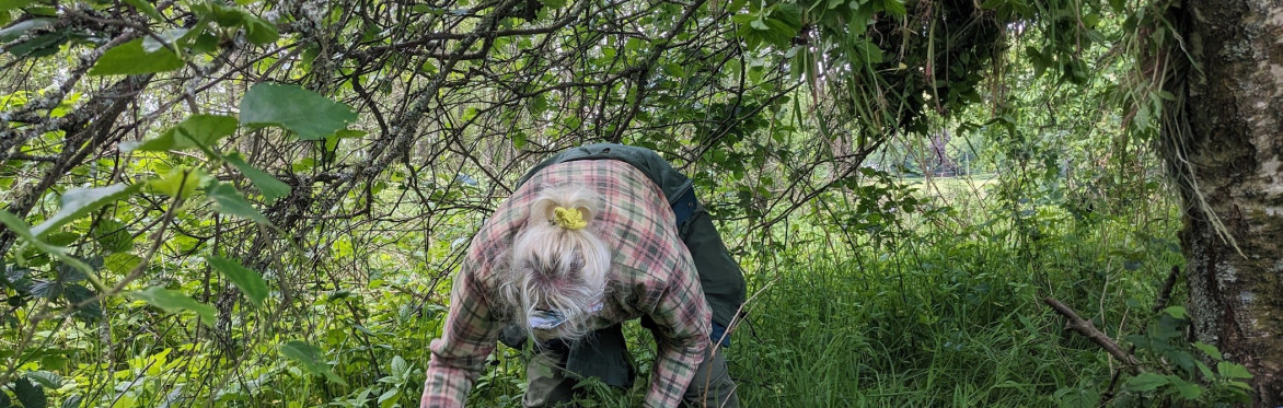 South Queich Balsam Bash
