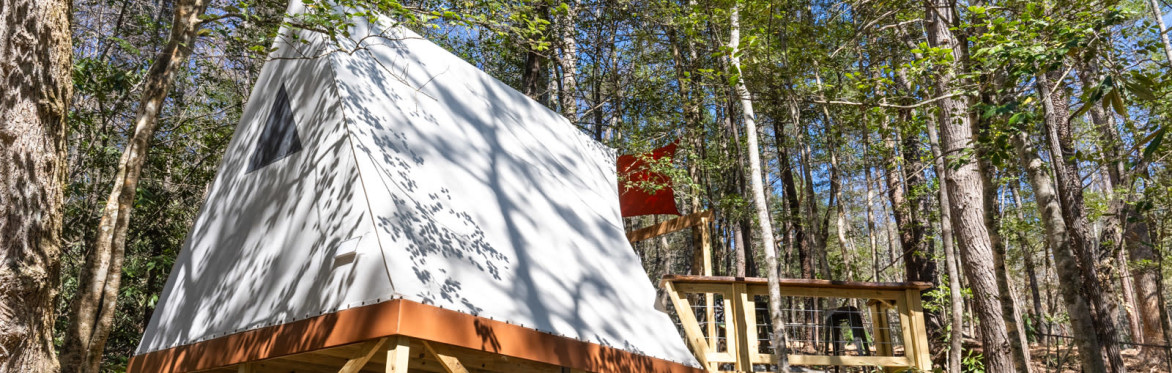 Luxury Lodging at Wonderland Resort