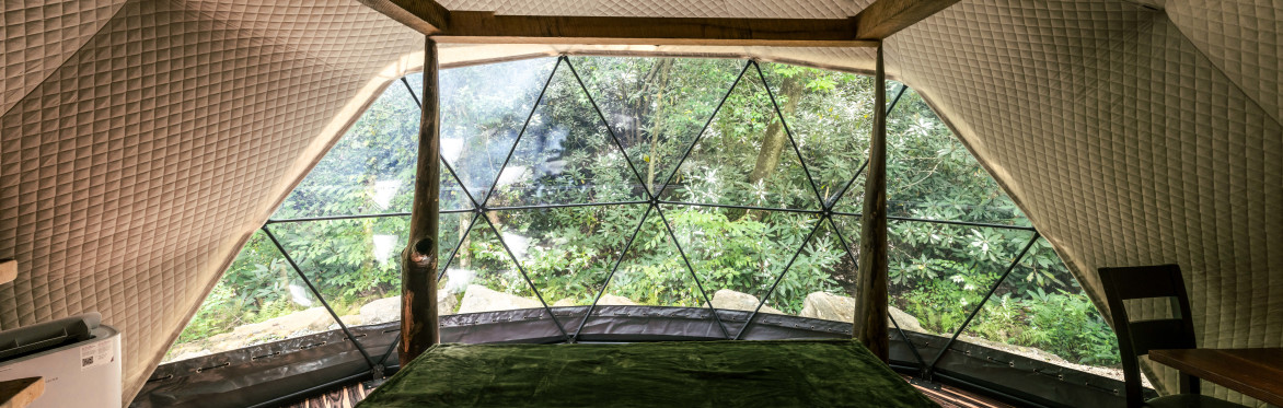Luxury Lodging at Wonderland Resort