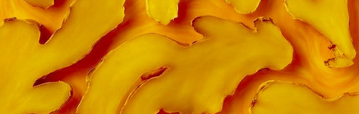 Ayurveda Nutrition Course - A journey towards digestive ease