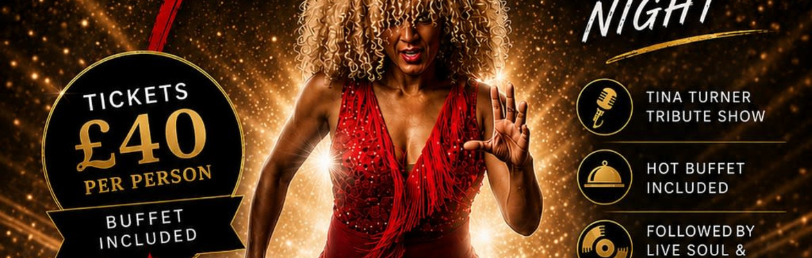 Tina Turner Tribute Night