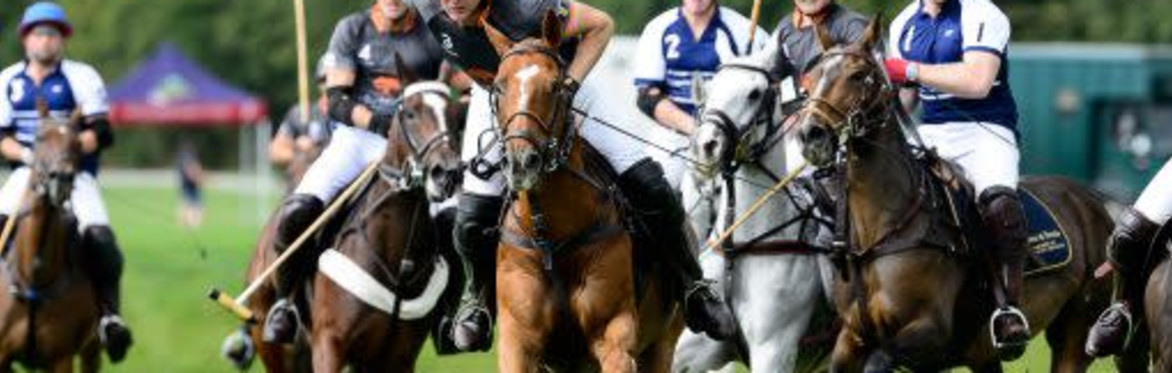 Newport Polo