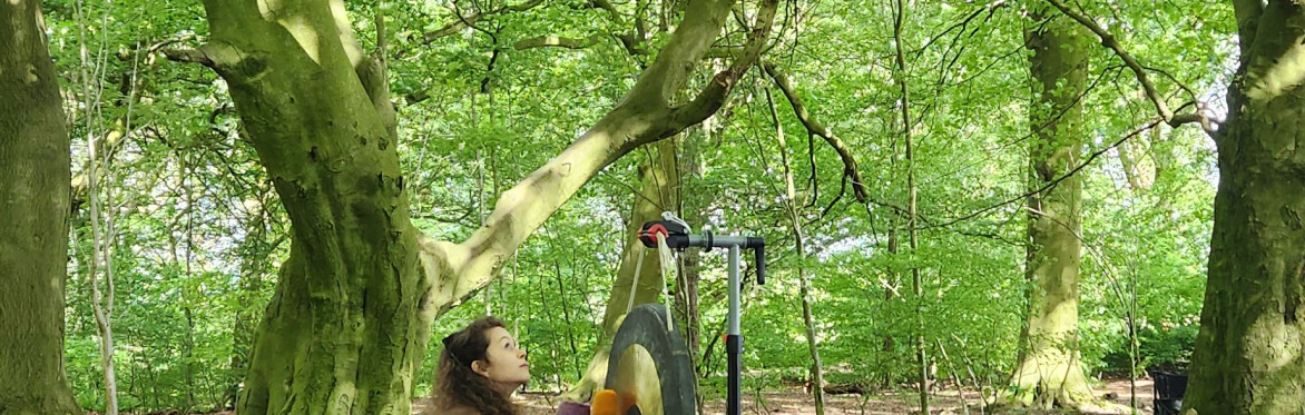 🌿 Easingwold - Outdoor Sound Bath 🌿