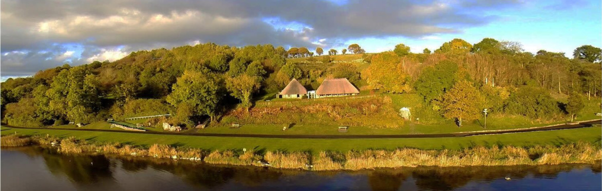 Lough Gur Wild Hybrid