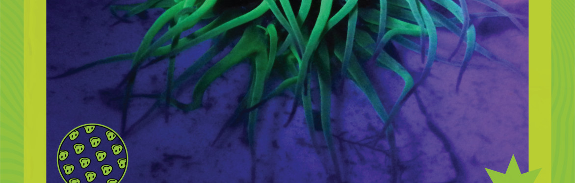 Secrets Beneath the Sea - Exhibition launch