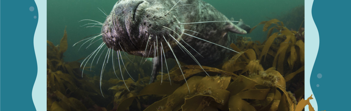Secrets Beneath the Sea - Exhibition launch