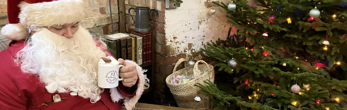 Farmer Christmas at Baylham House Farm ( 12th & 13th December 2026 )