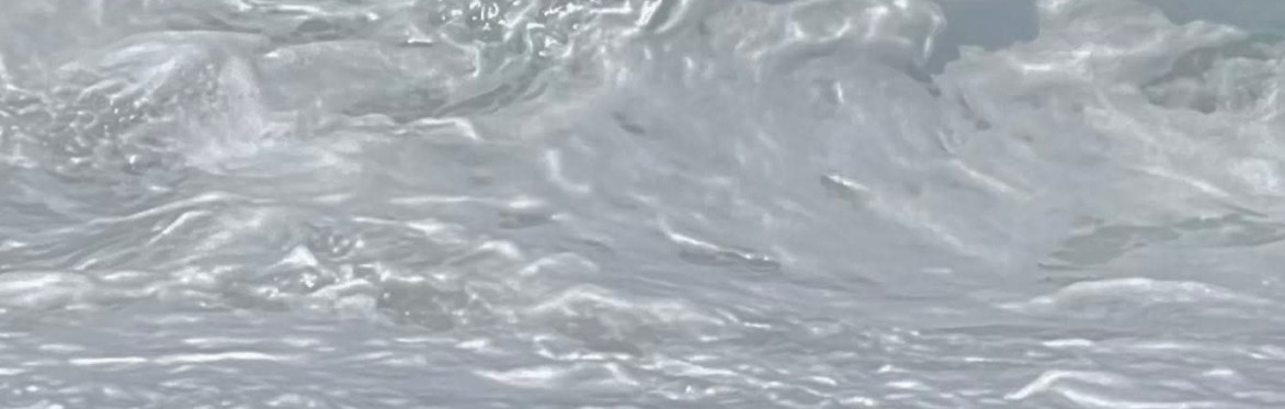 Dissolutions: The  Alchemical Language of Water, A Writing Retreat with Lidia and Ravyn on the Oregon Coast