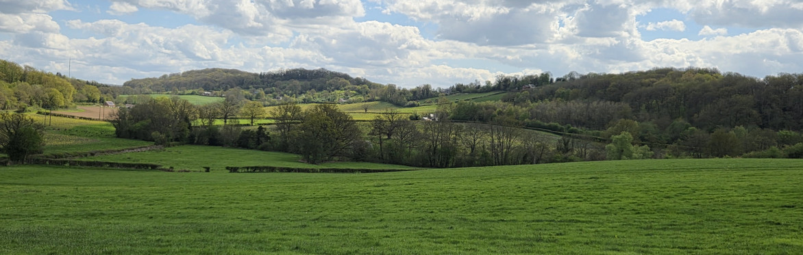 Herefordshire's Hidden Gems - wildlife & history around Mordiford