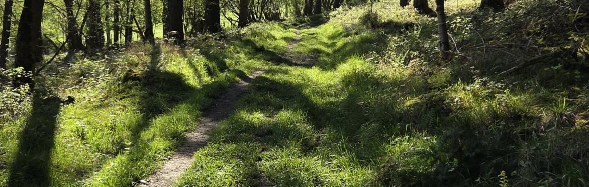 Herefordshire's Hidden Gems - wildlife & history around Mordiford