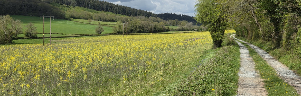 Herefordshire's Hidden Gems - wildlife & history around Mordiford